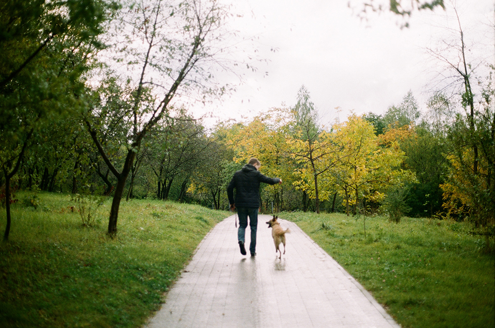 Dog park illuminated with solar lighting