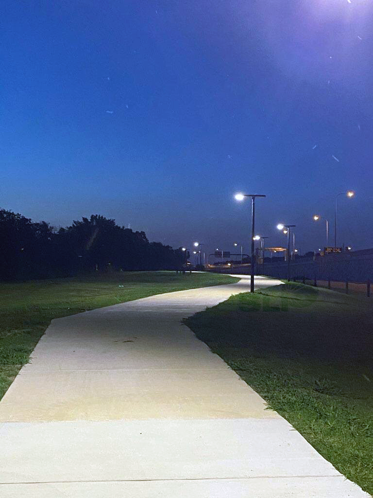 Row of solar pathway lights illuminating a walking trail at dusk
